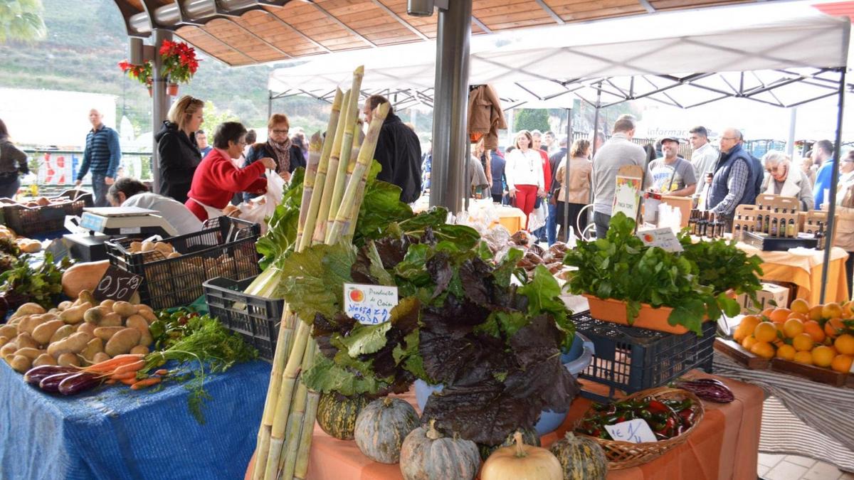 Taste of Andalusia Tour