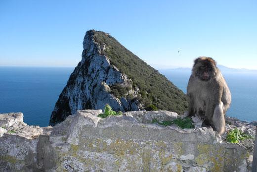 Gibraltar Tour