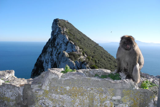 Gibraltar Tour